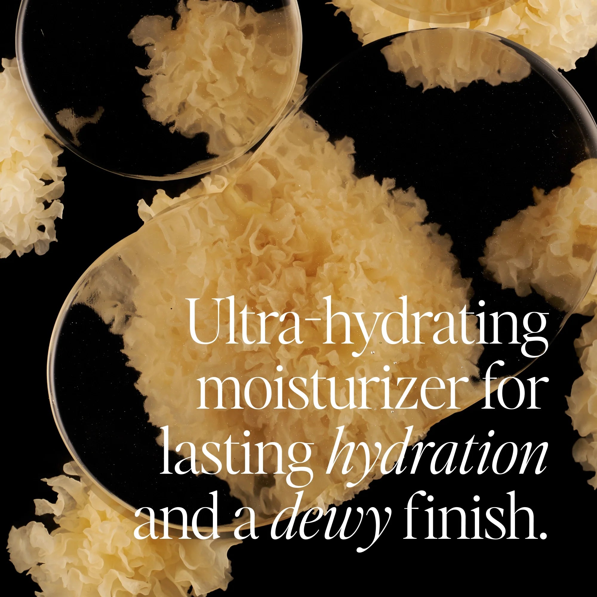 Dewy Day Cream